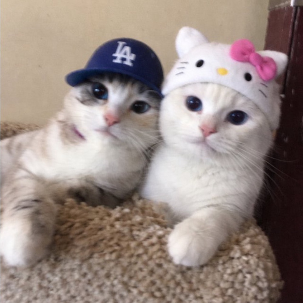 Meet your Posher, Tatyana